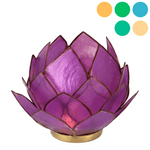 Lotus Teelicht Muschel groß