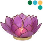Lotus Teelicht Muschel klein